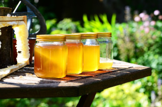 honey jar honeycomb